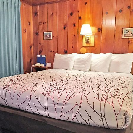 Park Motel And Cabins Флорънс Екстериор снимка
